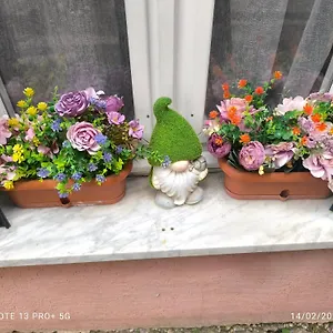  Bed & Breakfast I Colori Di Italia